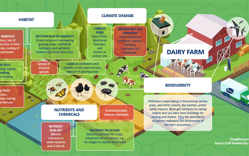 Impacts of dairy farming on biodiversity