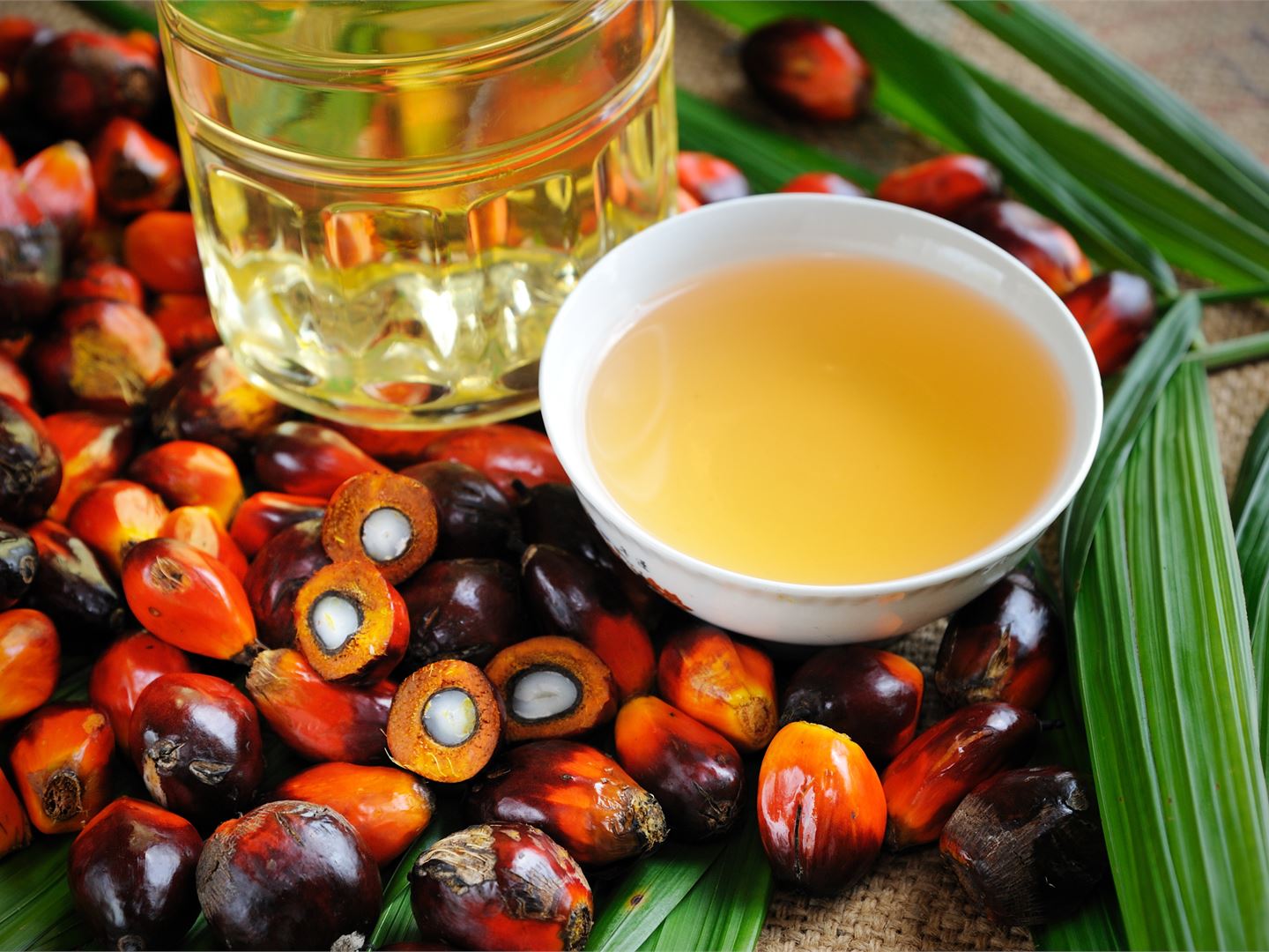 Raw material policy: Palm oil