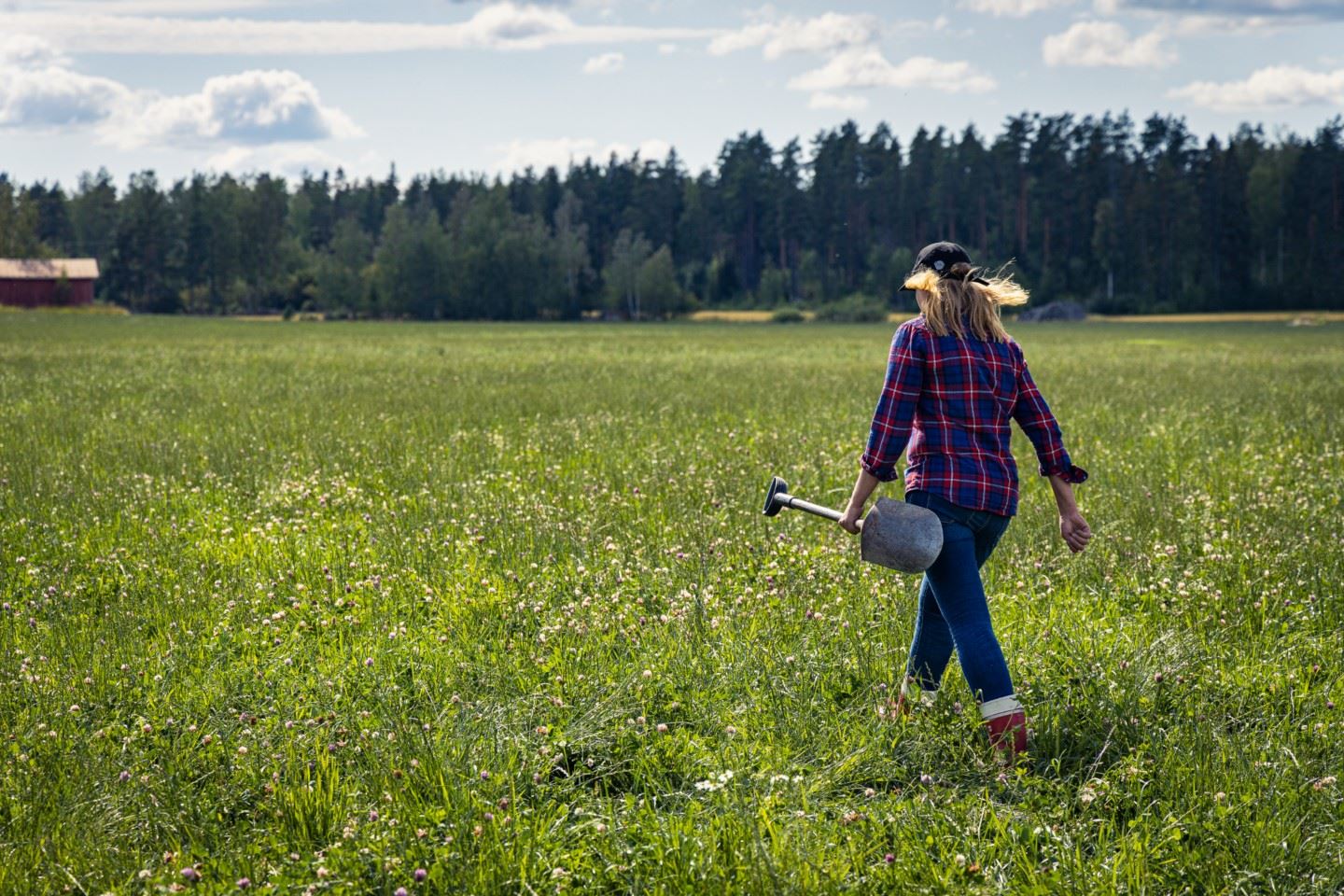 Hiilensidonta todennetaan tutkimuksella