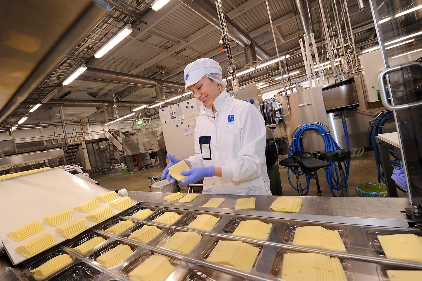 Valio Vantaa factory is the processed cheese specialist
