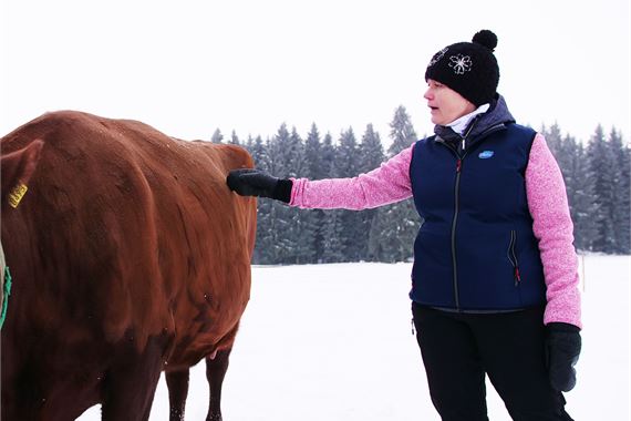 Kristiina Sarjokari petting a cow
