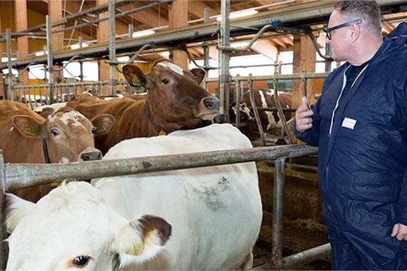 Suomalainen maito on antibioottijäämätöntä ja EU:n puhtainta solu- ja bakteerimääriltään. Vuonna 2017 Valion keräilemästä maidosta 96,9 % oli parasta E-luokkaa.