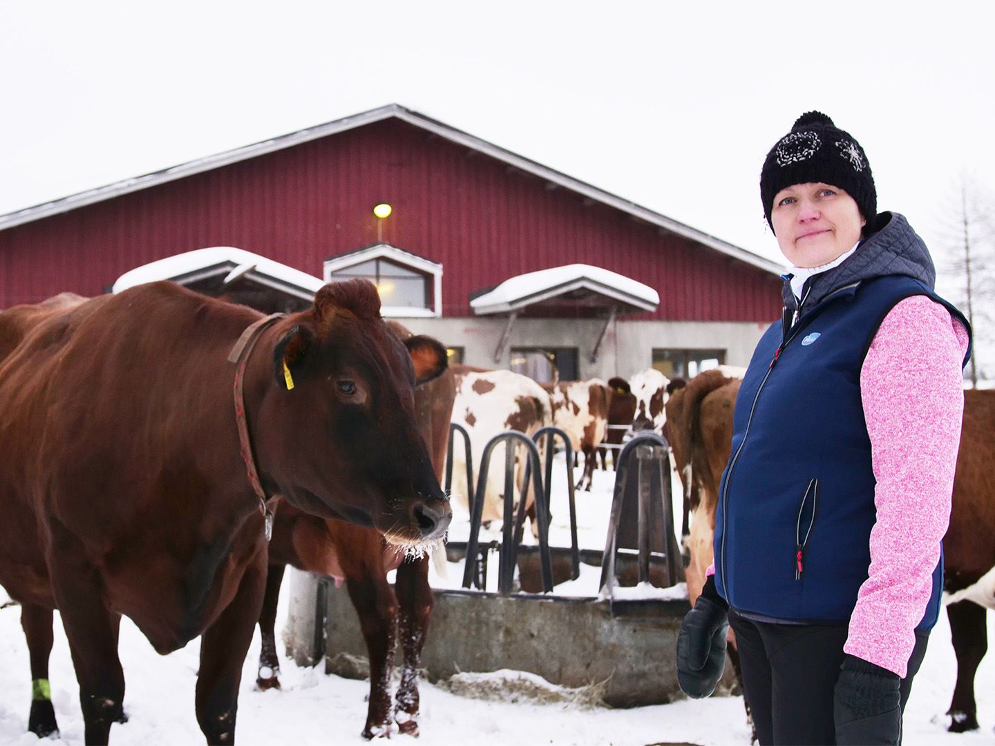 “Healthier animal, better milk, brighter future” – Kristiina Sarjokari works to promote animal health