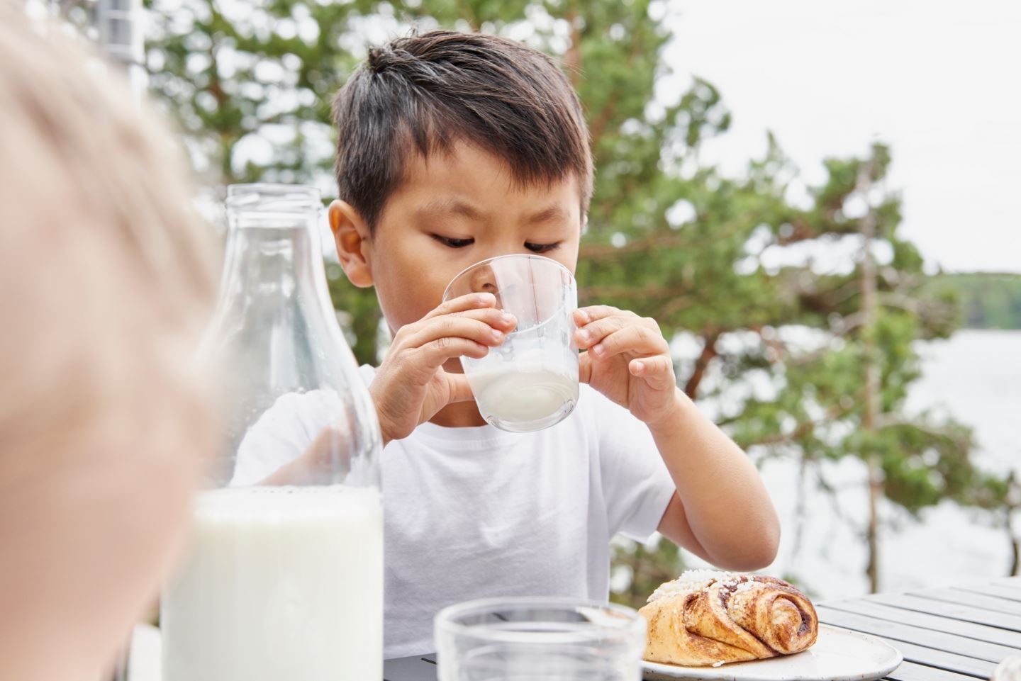 Tutkimustietoa maidon käytön yhteydestä terveyteen