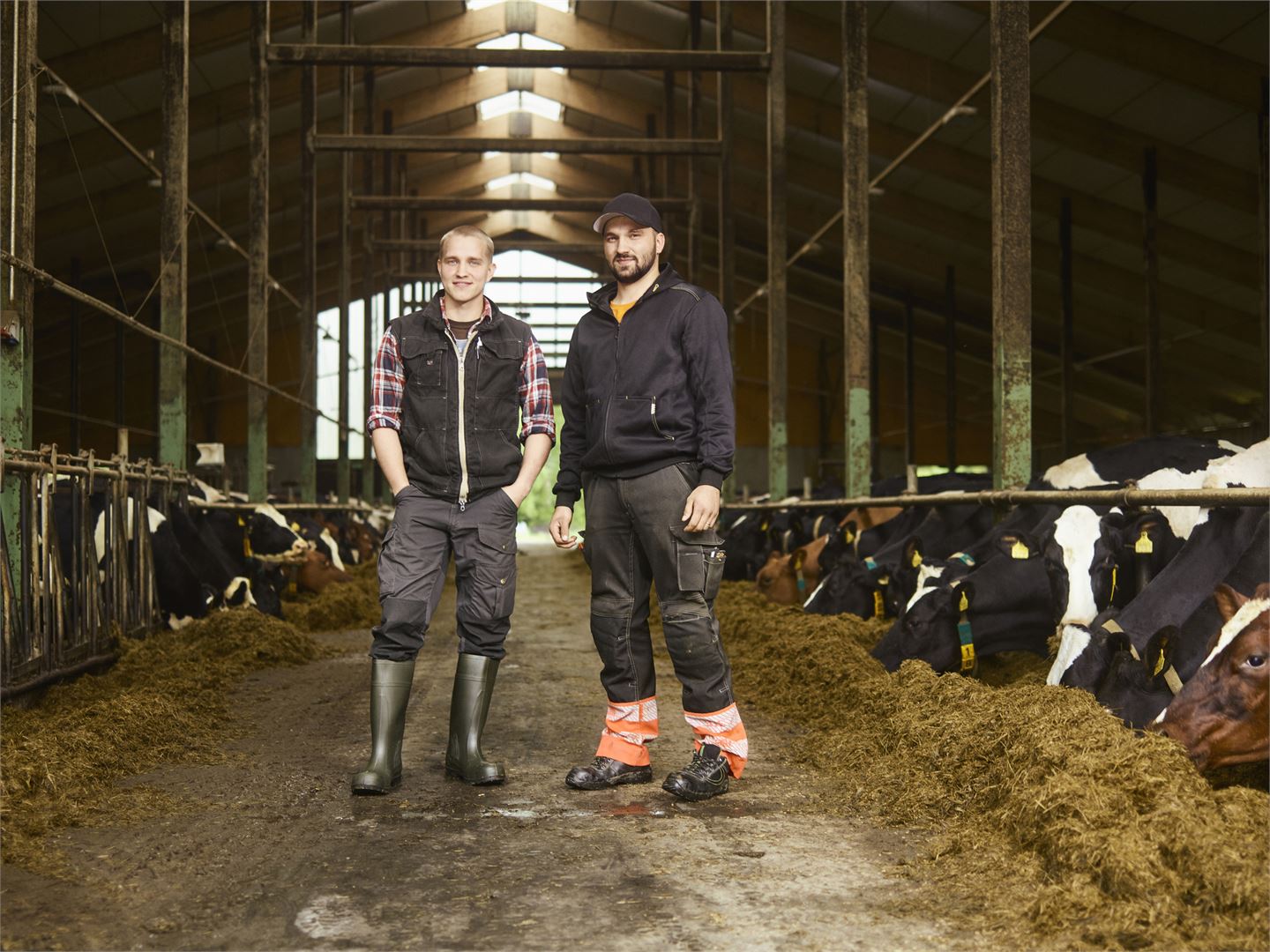 Finnish dairy is born at devoted family farms