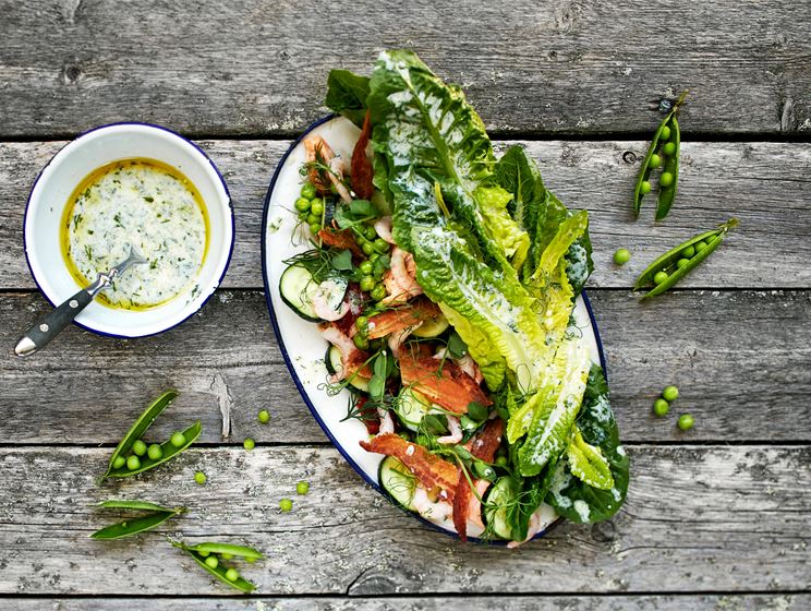 Lämminsavulohisalaattia, tillipiimää ja grillattua avomaan kurkkua